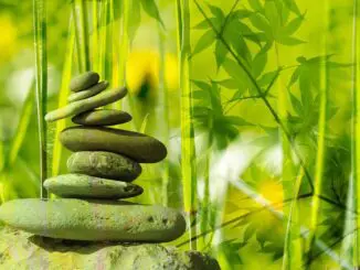 help with driving anxiety