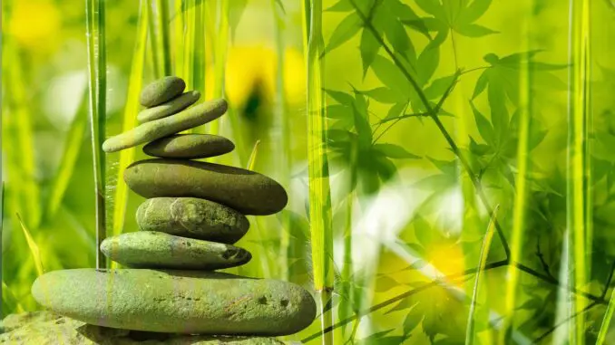 help with driving anxiety