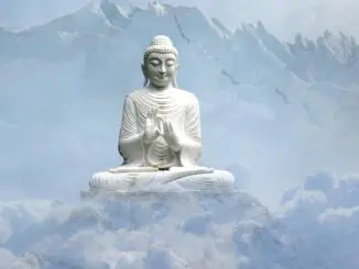 wellness chicago ACT