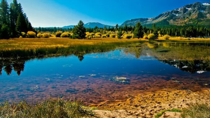 Anxiety Specialists Chicago anxiety specialists Chicago, IL