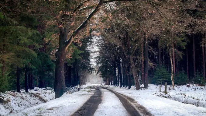 seasonal affective disorder treatment Chicago