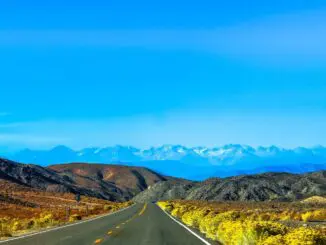 10 types of cbt therapies from the Calm Anxiety CBT Therapy Clinic