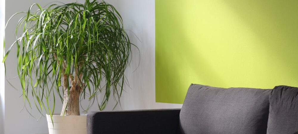 anxiety therapy room therapy office in Chicago for stress management