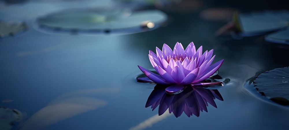 best therapist for anxiety therapy in Chicago