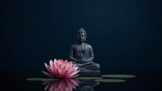 innerpeace for Chicago perfectionists 
