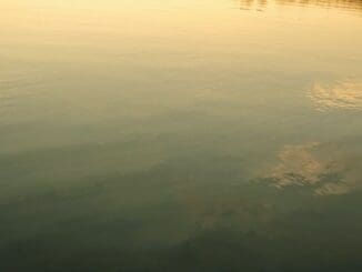 Calm water surface representing the hidden effort beneath adult ADHD masking — Calm Anxiety CBT Therapy Clinic Chicago