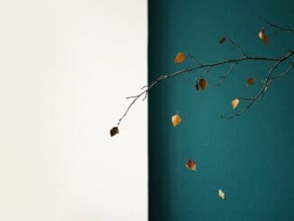 CBT therapist in Chicago helping client understand fear of change and anxiety