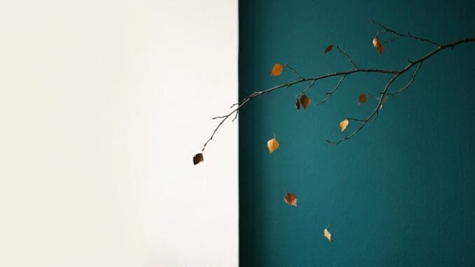 CBT therapist in Chicago helping client understand fear of change and anxiety