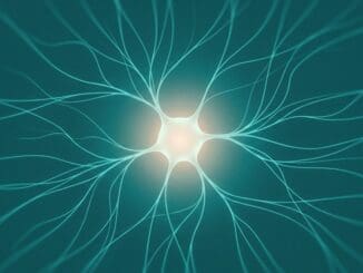 Neuroscience of panic attacks explained by a CBT therapist in Chicago