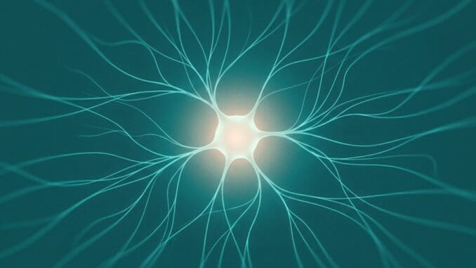 Neuroscience of panic attacks explained by a CBT therapist in Chicago